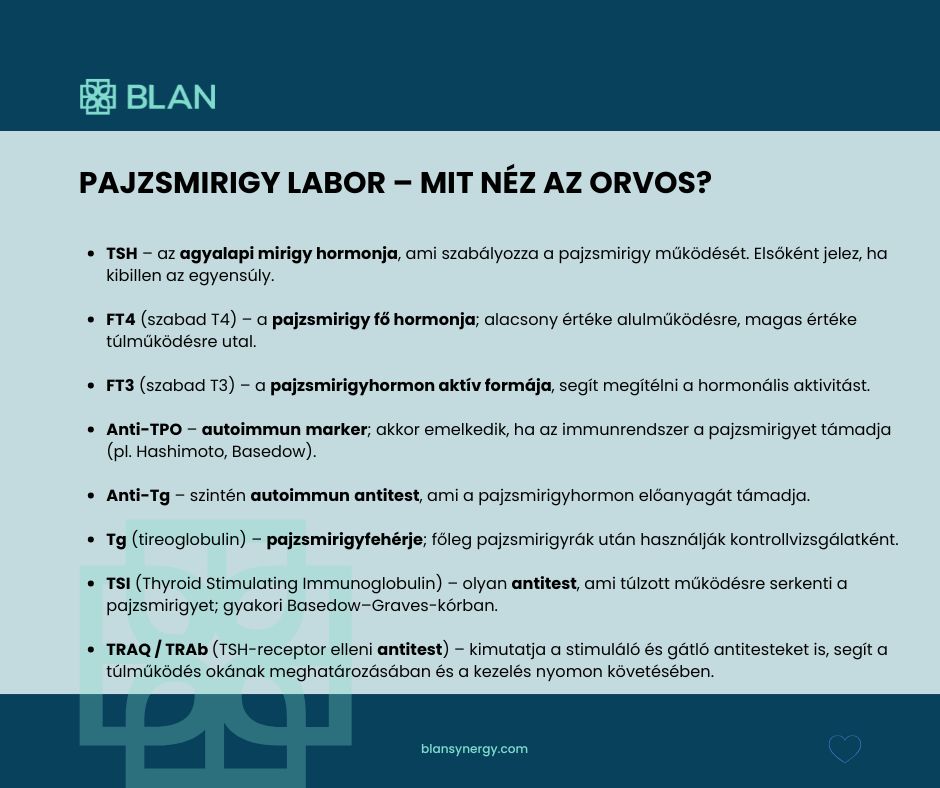 Pajzsmirigy markerek