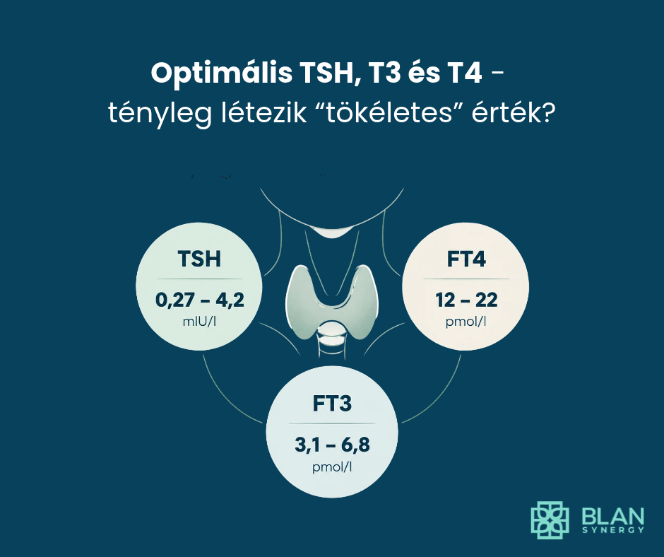 Optimális TSH, T3 és T4 – tényleg létezik „tökéletes” érték?